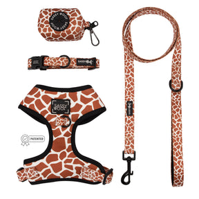 Dog Four Piece Bundle - Giraffic Park