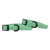 Dog Waterproof Collar - Green
