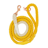 Dog Rope Leash - Lemon Drop