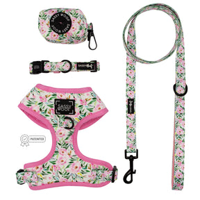 Dog Bundle - Magnolia