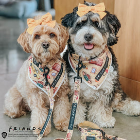 INFLUENCER_CONTENT | @MALTIPOO.KONA |
