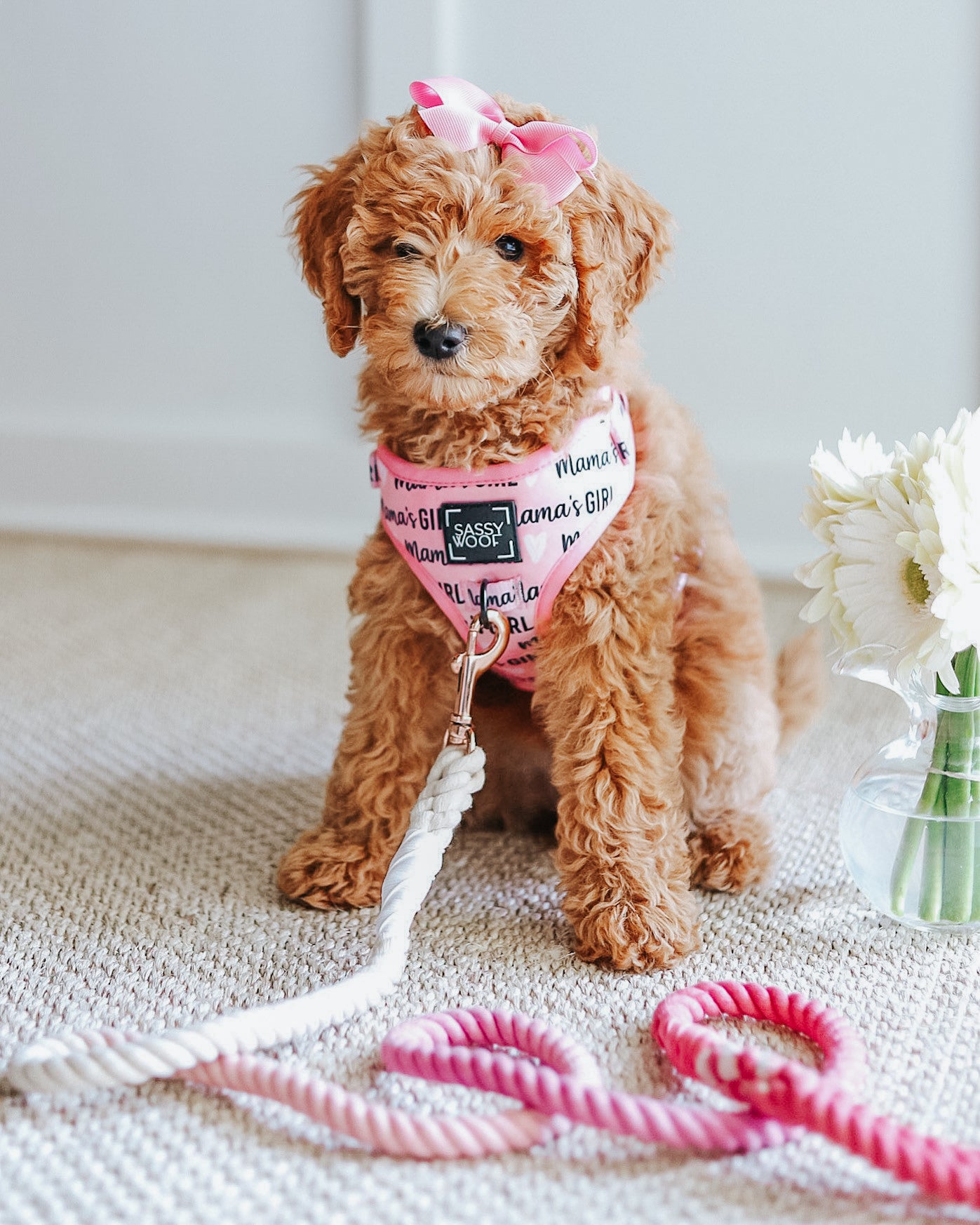 Dog Rope Leash - Ombre Pink
