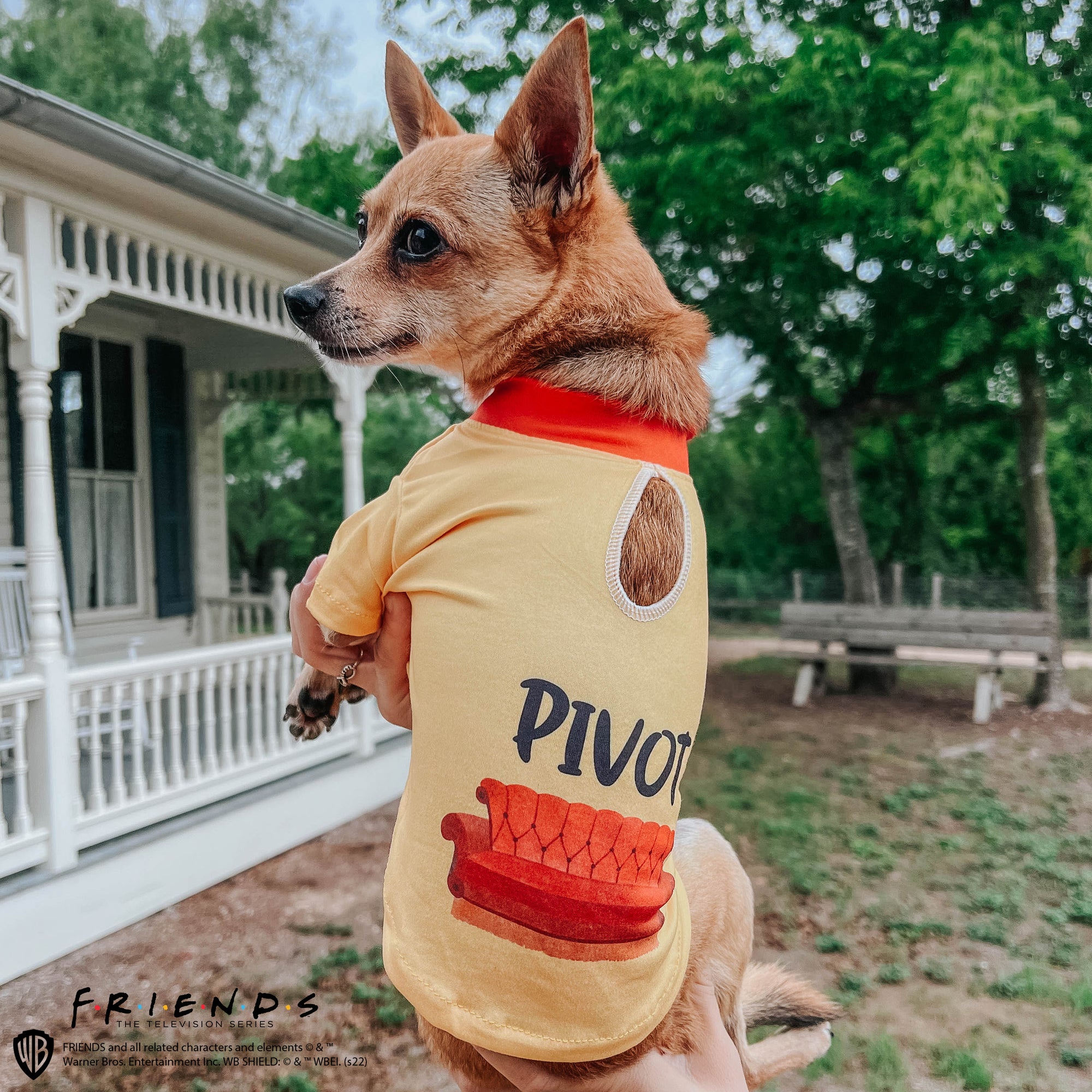 INFLUENCER_CONTENT | @MARILYNCHIHUAHUA | SIZE XS