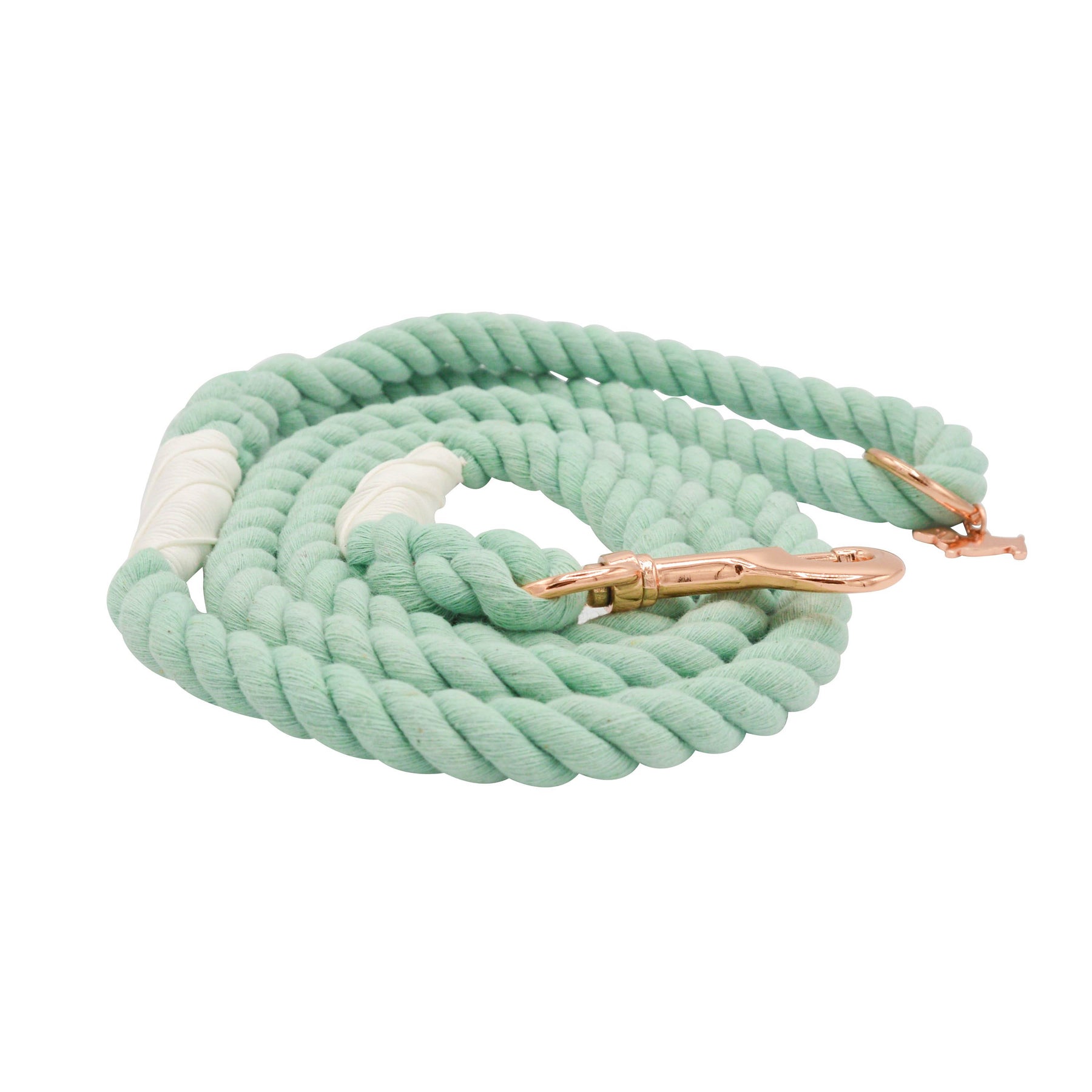 Dog Rope Leash - Mint to Be