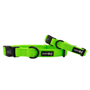Dog Collar - Neon Green