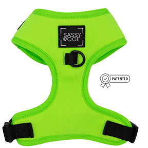 Dog Four Piece Bundle - Neon Green