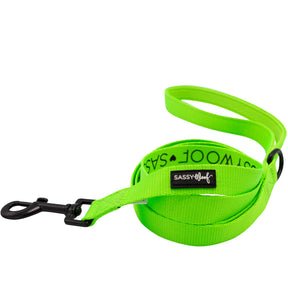 Dog Four Piece Bundle - Neon Green