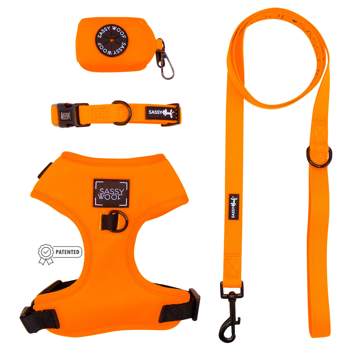 Dog Four Piece Bundle - Neon Orange