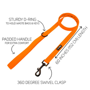 Dog Leash - Neon Orange