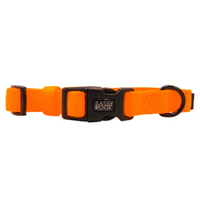 Dog Collar - Neon Orange