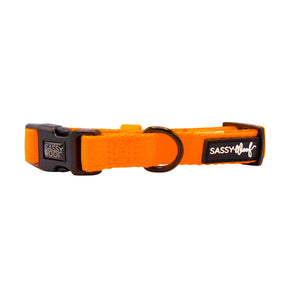 Dog Collar - Neon Orange