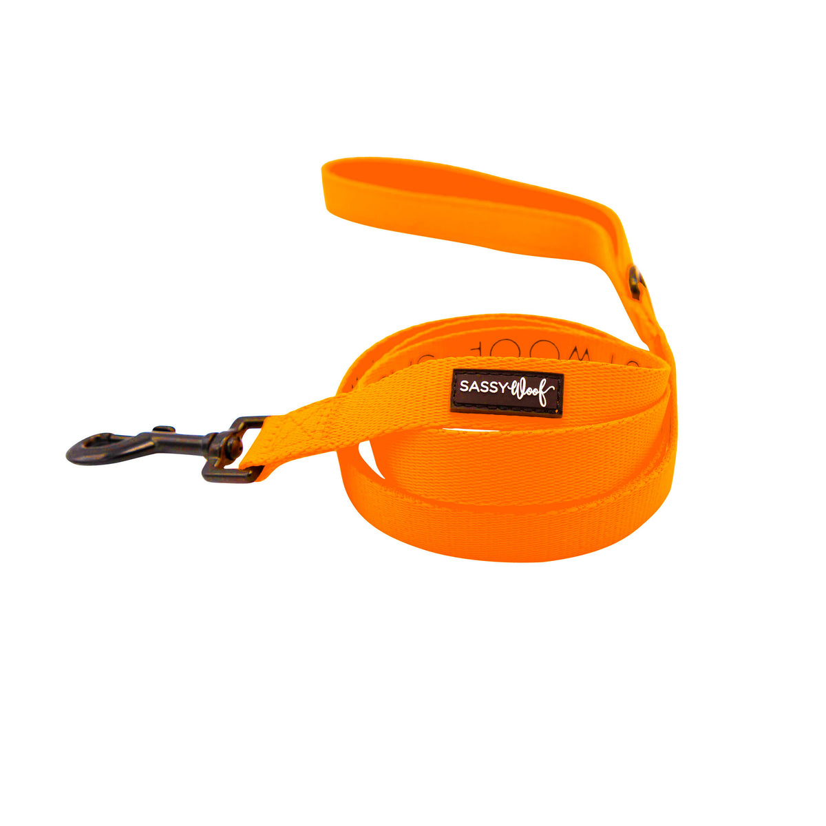 Dog Leash - Neon Orange