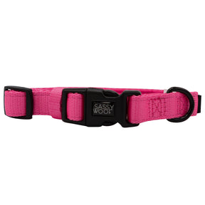 Dog Four Piece Bundle - Neon Pink