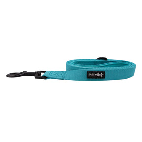 Dog Leash - Neon Blue