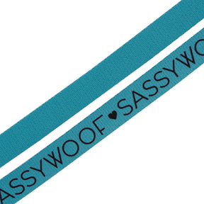 Dog Leash - Neon Blue