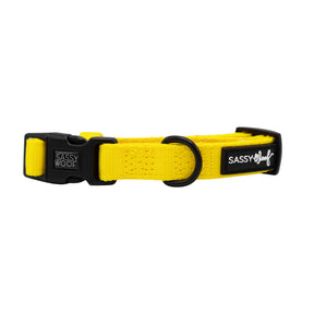 Dog Collar - Neon Yellow