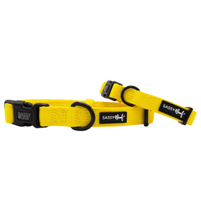 Dog Collar - Neon Yellow