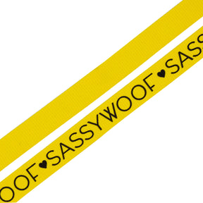 Dog Leash - Neon Yellow