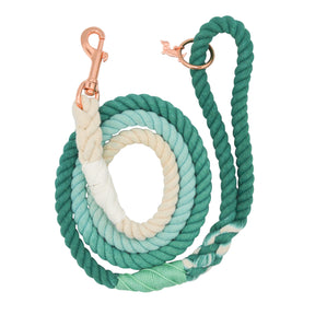 Dog Rope Leash - Ombre Teal