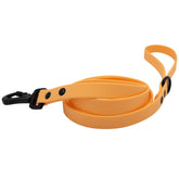 Dog Waterproof Leash - Orange