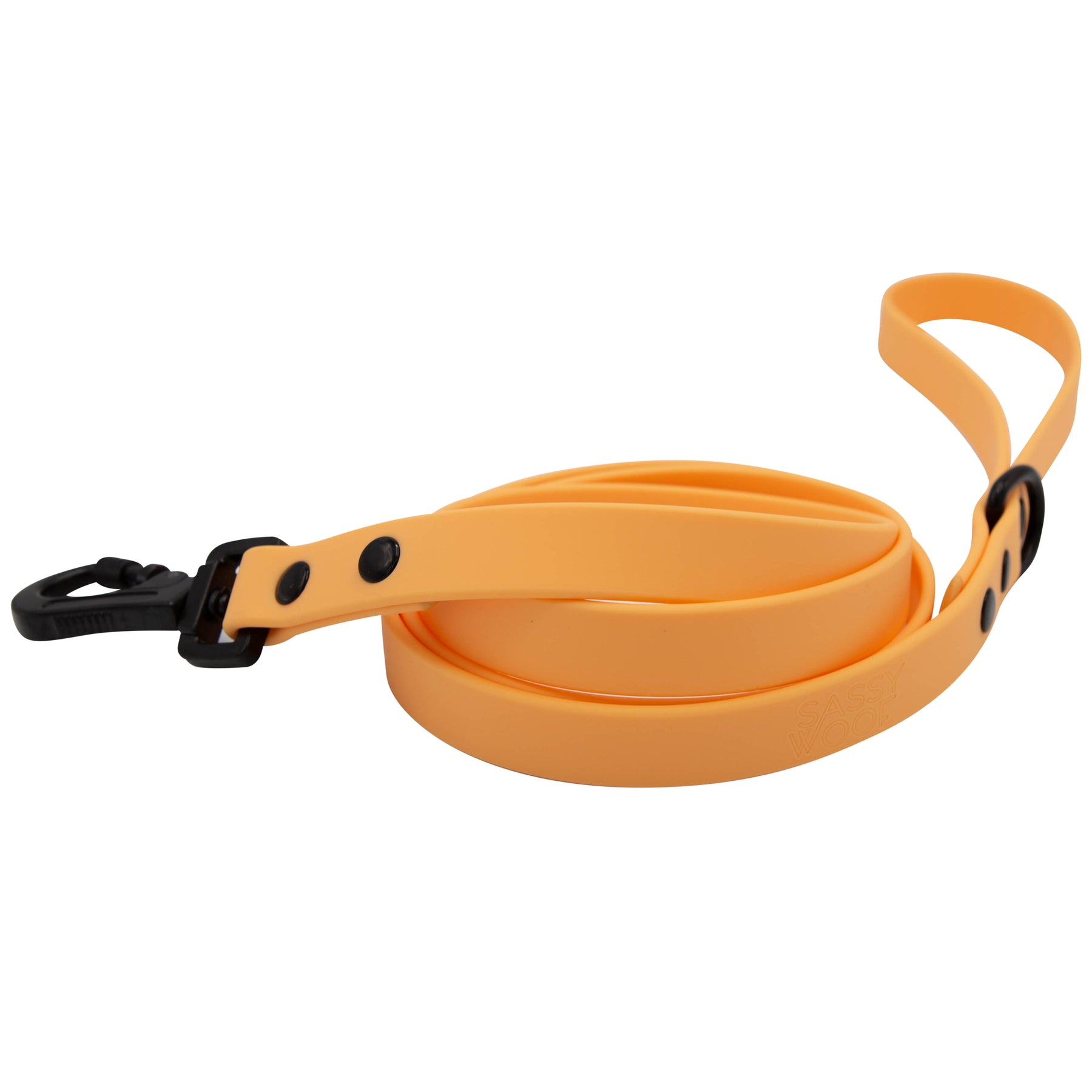 Dog Bundle - Adventure Collection (Orange)