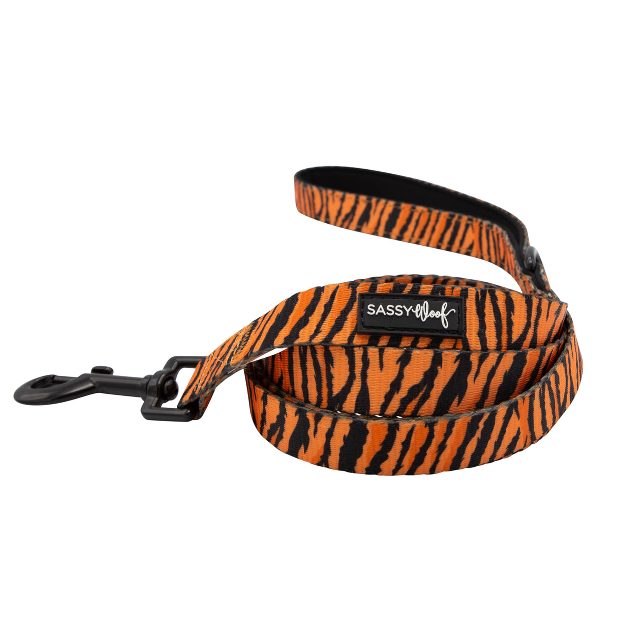 Dog Leash - Paw of the Tiger
