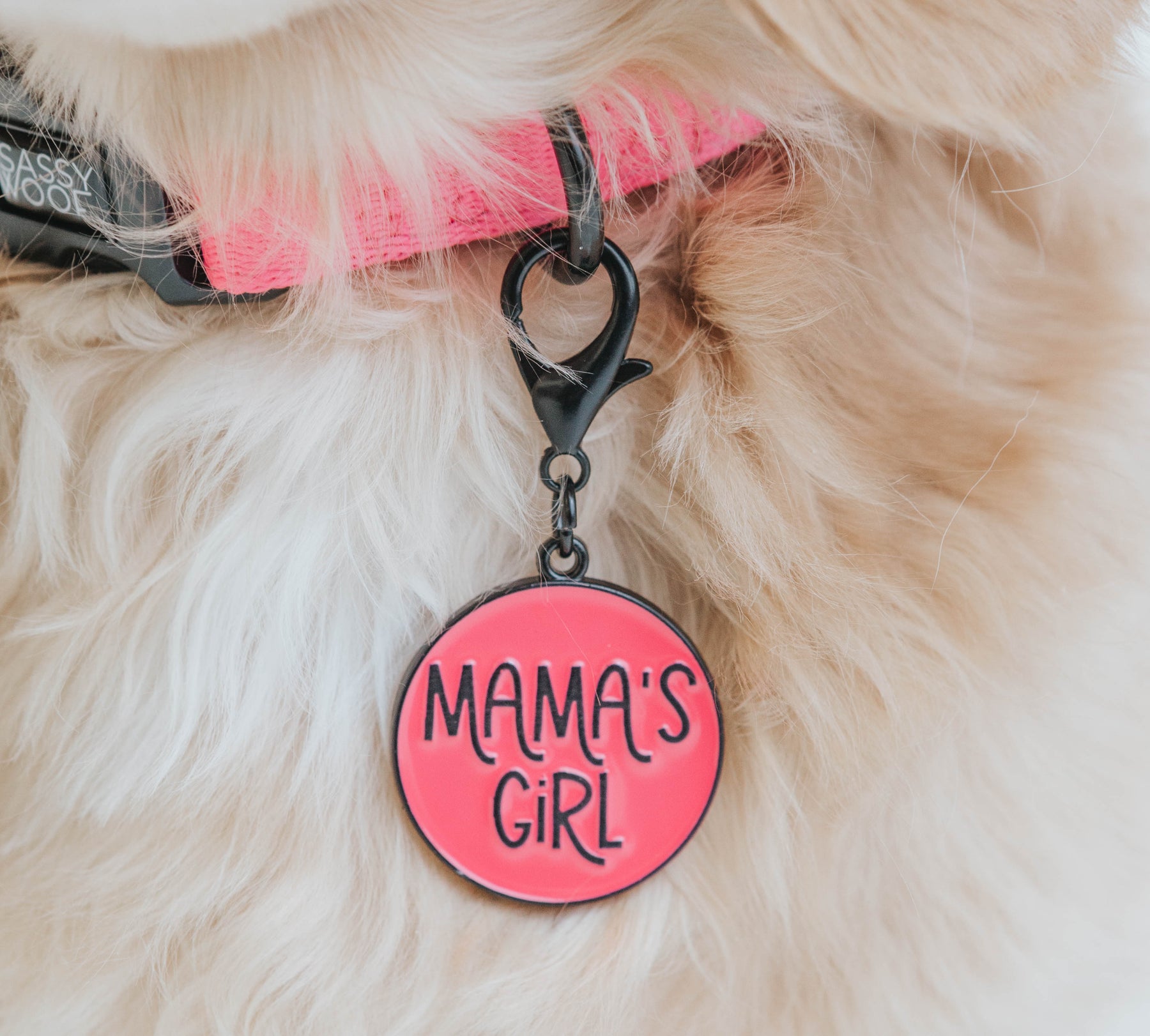 Dog Collar Tag - Neon Mama's Girl