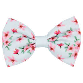 Dog Bowtie - Sakura