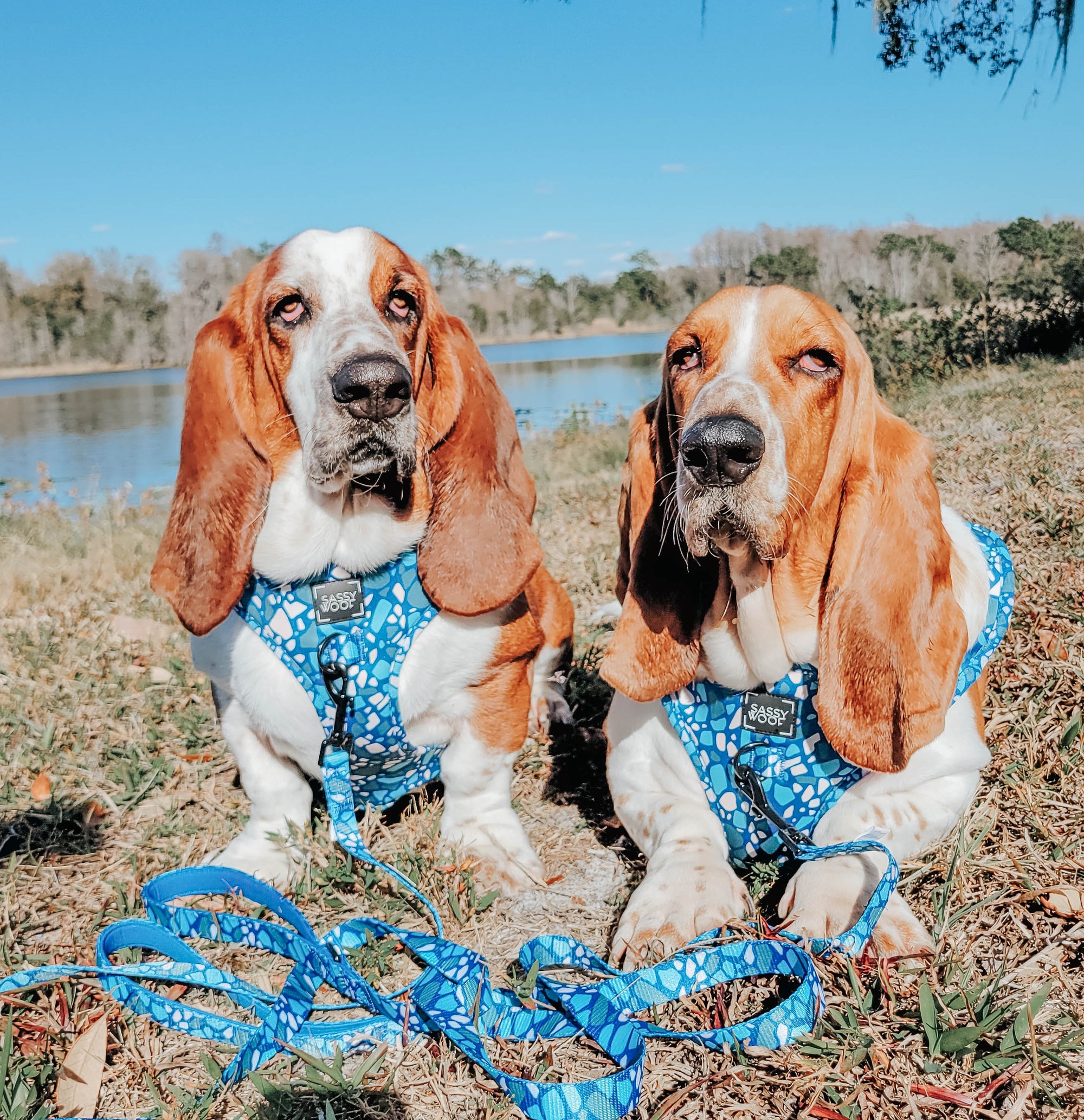 INFLUENCER_CONTENT | @WARRENANDBRISTOLTHEBASSETS | SIZE L & XL