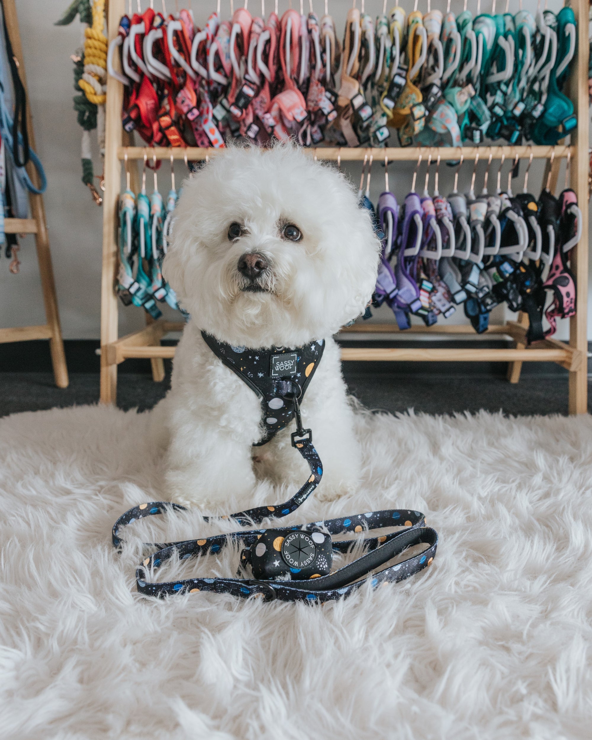 INFLUENCER_CONTENT | @KRISPYKREMETHEBICHON