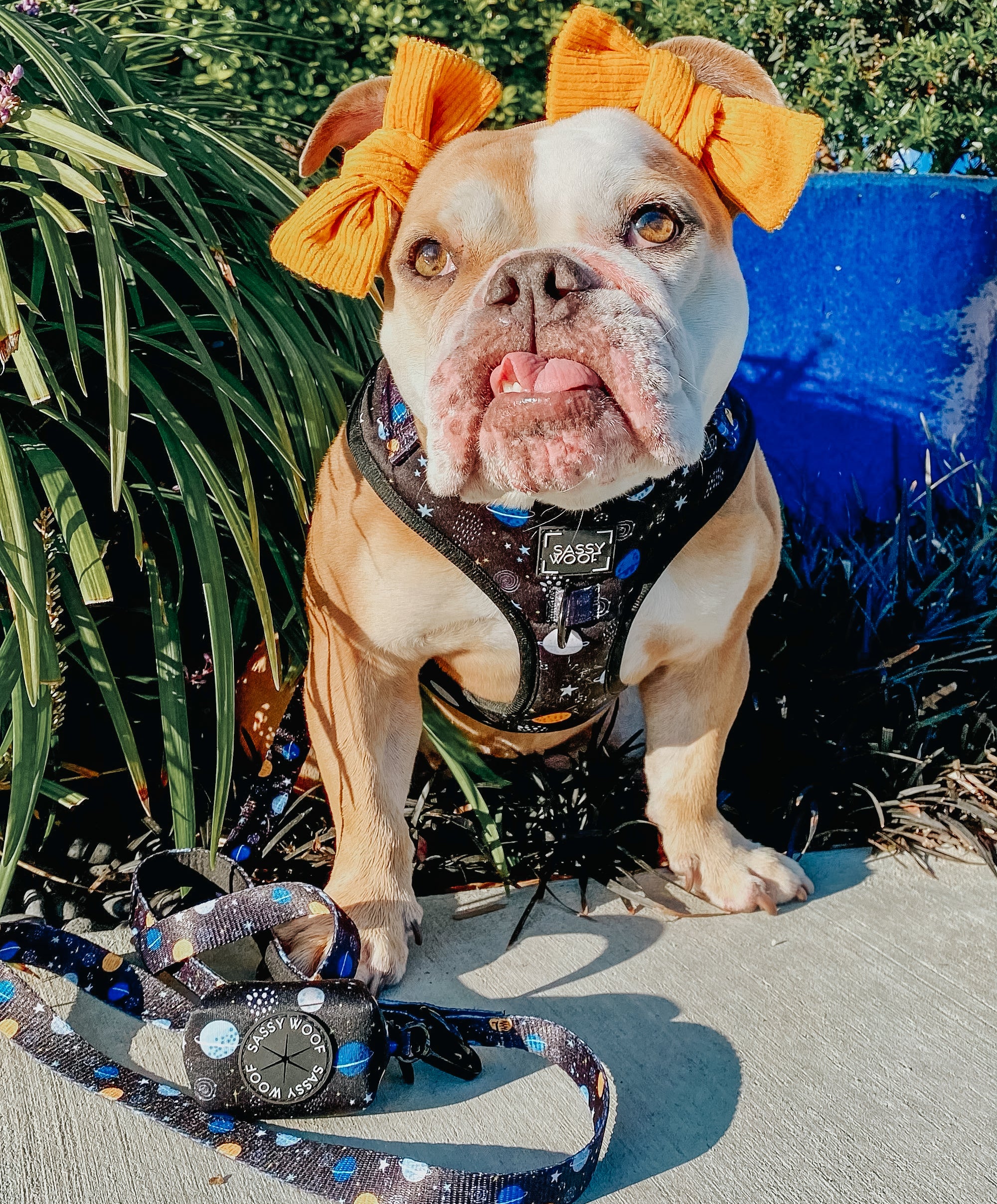 INFLUENCER_CONTENT | @THEBULLYPRINCESSLEIA