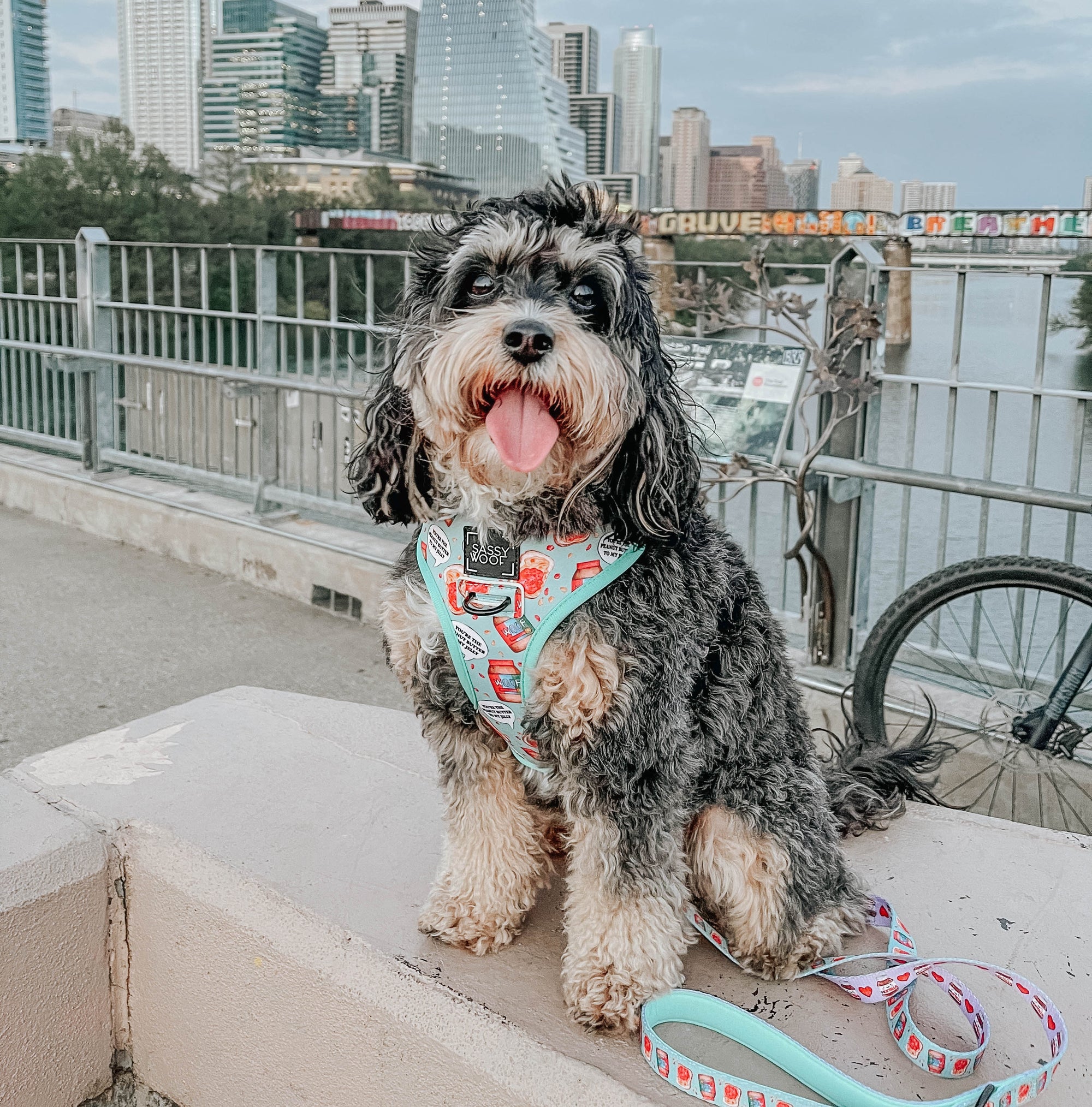 INFLUENCER_CONTENT | @LADYBIRDTHECAVAPOO | SIZE M