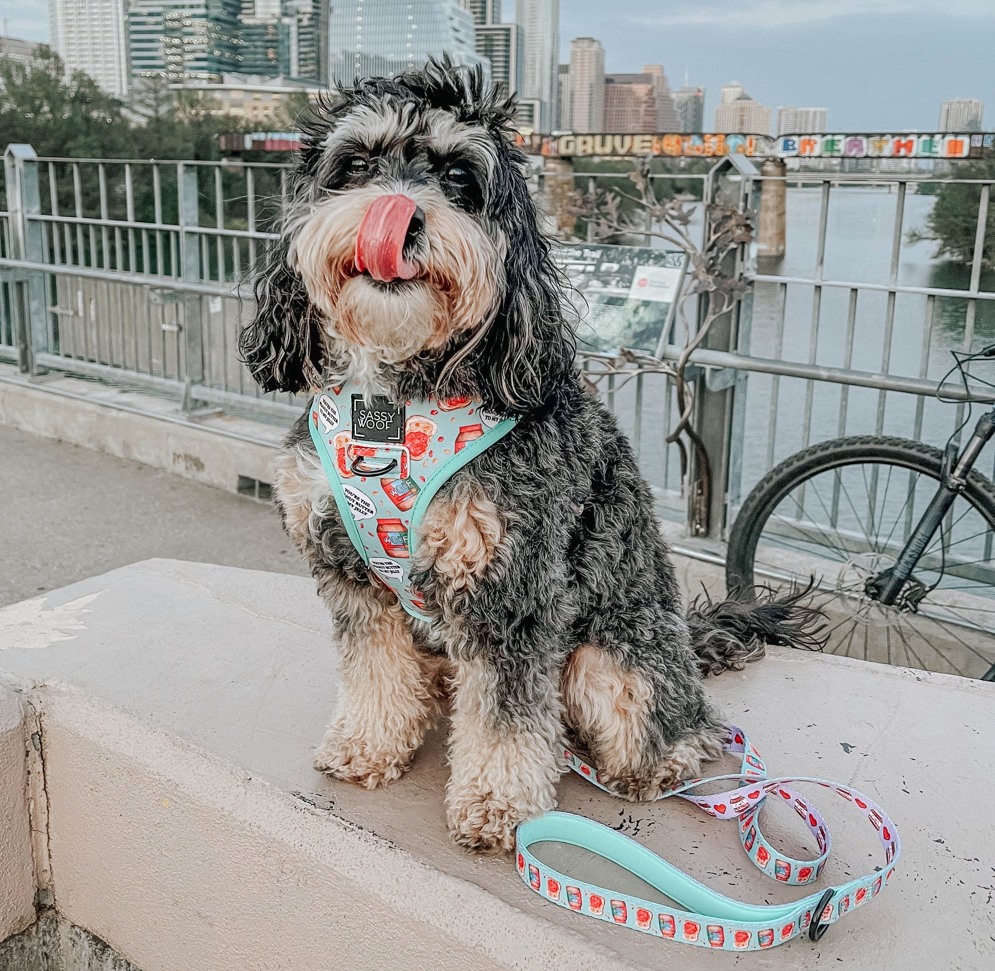 INFLUENCER_CONTENT | @LADYBIRDTHECAVAPOO | SIZE M