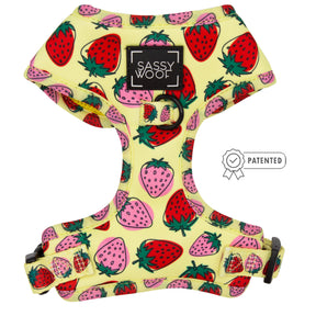 Dog Four Piece Bundle - Strawberry Fields Furever