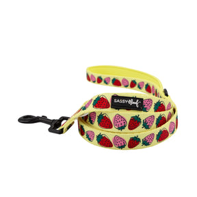 Dog Leash - Strawberry Fields Furever