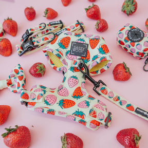 Dog Adjustable Harness - Strawberry Fields Furever