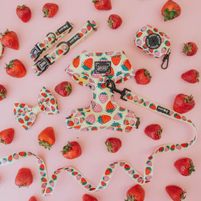 Dog Bundle - Strawberry Fields Furever