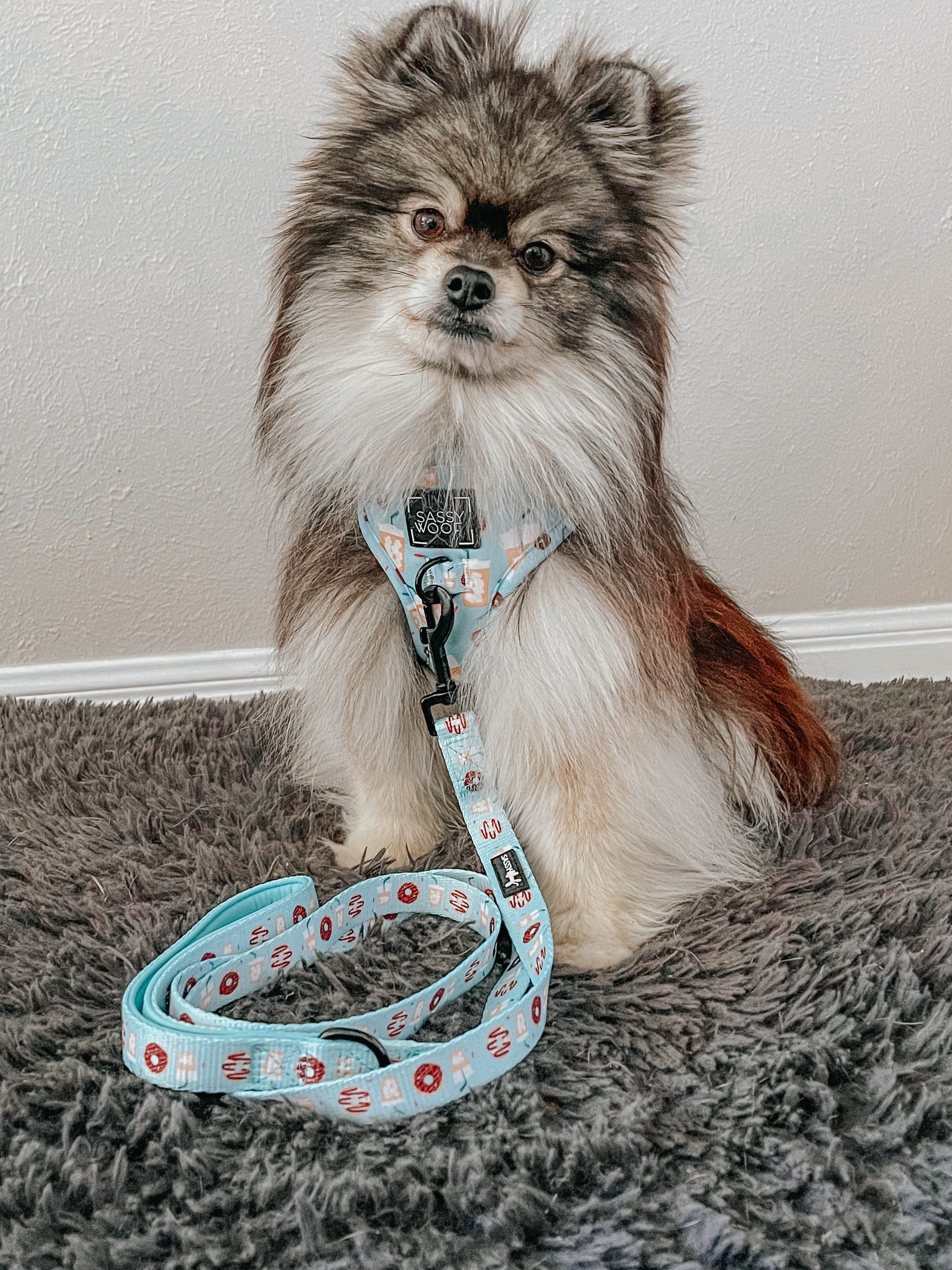 INFLUENCER_CONTENT | @REMUSTHEMINIWOLF