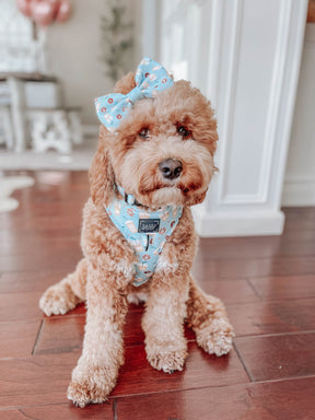INFLUENCER_CONTENT | @ITSMEWILLOWDOODS