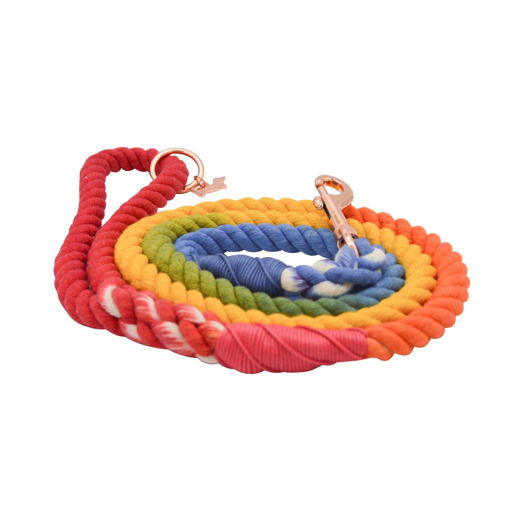 Dog Rope Leash - Taste The Rainbow