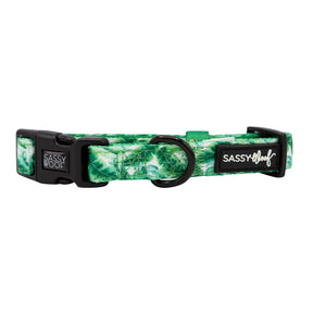 Dog Collar - Verano