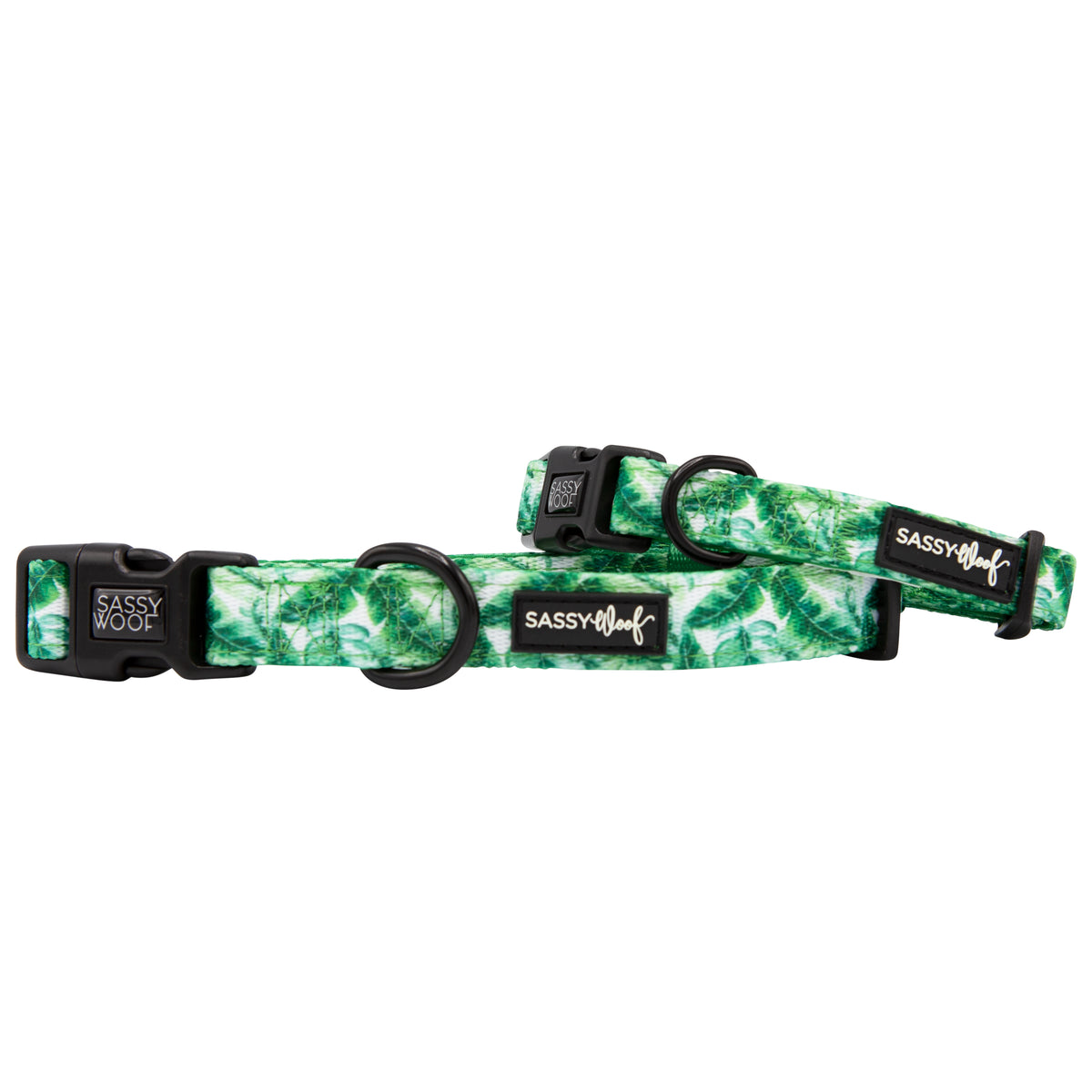 Dog Collar - Verano