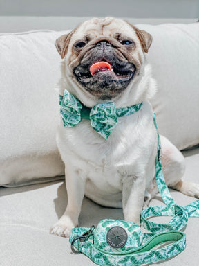 INFLUENCER_CONTENT | @ATOASTYPUG