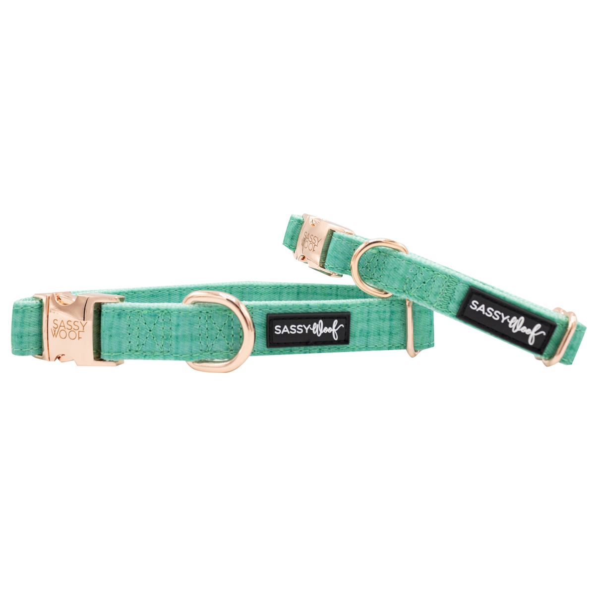 Dog Collar - Wag Your Teal